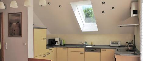Fridge, oven, stovetop, dishwasher