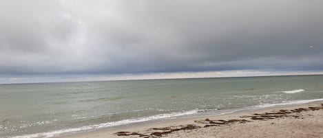 A beach with waves, a cloudy sky, and seaweed on the sand.