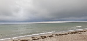 A beach with waves, a cloudy sky, and seaweed on the sand.