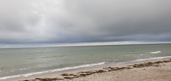 A beach with waves, a cloudy sky, and seaweed on the sand.