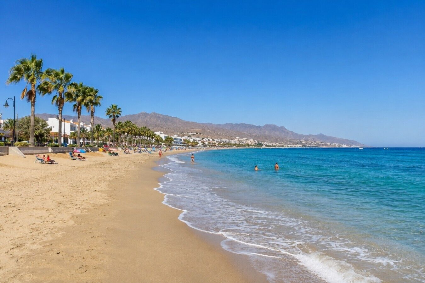 A beach with palm trees, a clear sky, and a mountain in the background.