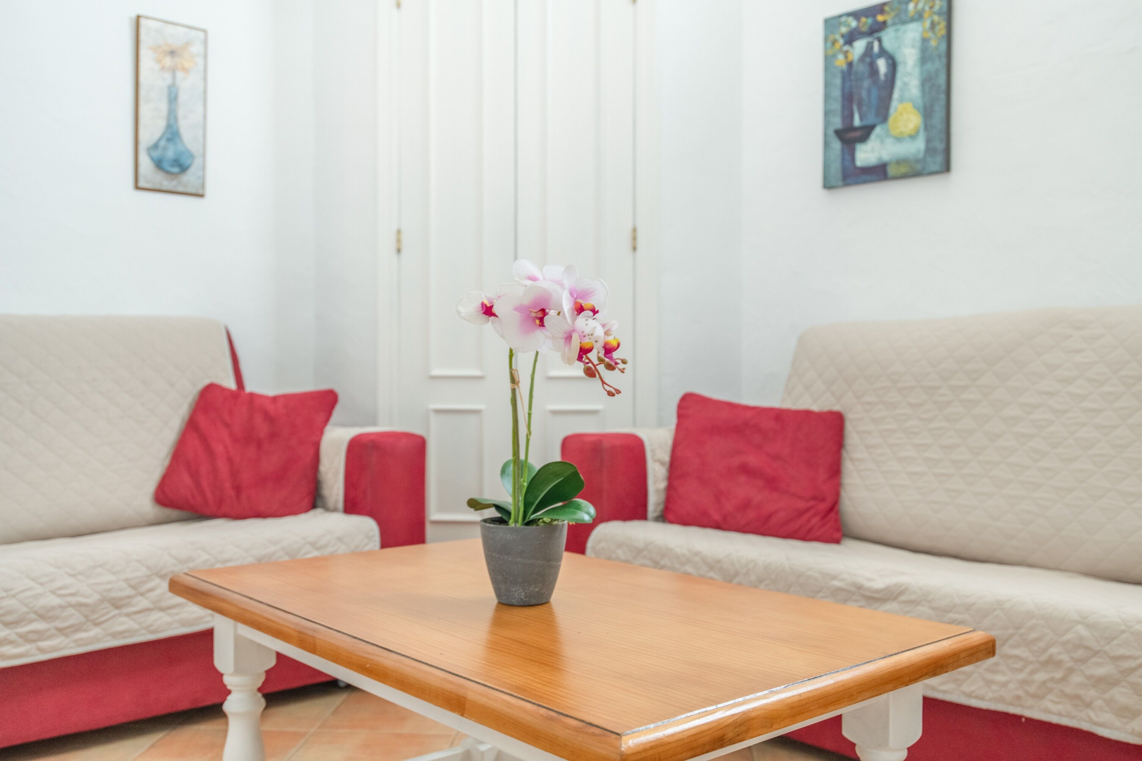 A living room with a wooden coffee table, a potted orchid, and two sofas with red cushions.