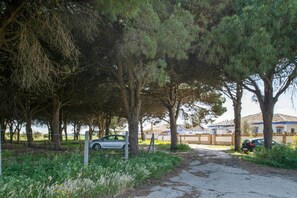 Ein gepflasterter Weg führt zu einem Gebäude mit blauem Dach, umgeben von Bäumen und parkenden Autos.