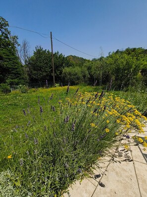 Property grounds - Large 3 bedroom country house near Ascoli Piceno in the heart of Le Marche. (Ascoli Piceno)