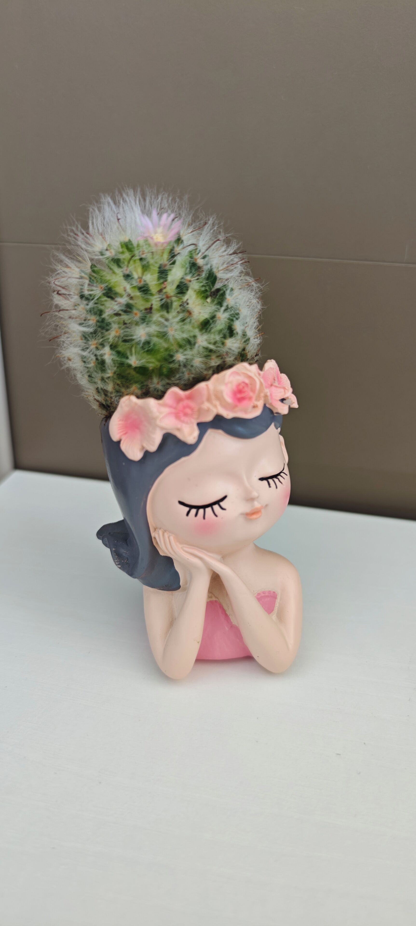 Een beeldje met een cactus op zijn hoofd.