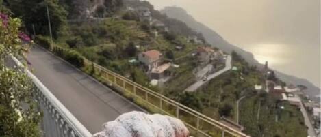 A hand holding a plate with two pastries, overlooking a mountainous landscape with a road and buildings.