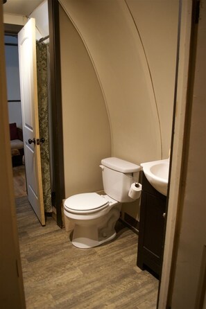 Bathroom - Bear Minimum - Tiny Home with views of Cold Mountain, 5 miles from Blue Ridge (Canton)