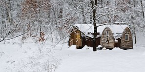 Exterior - Bear Minimum - Tiny Home with views of Cold Mountain, 5 miles from Blue Ridge (Canton)