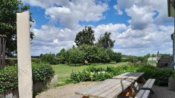 A picnic area with a wooden table and benches, surrounded by greenery and a clear sky.
