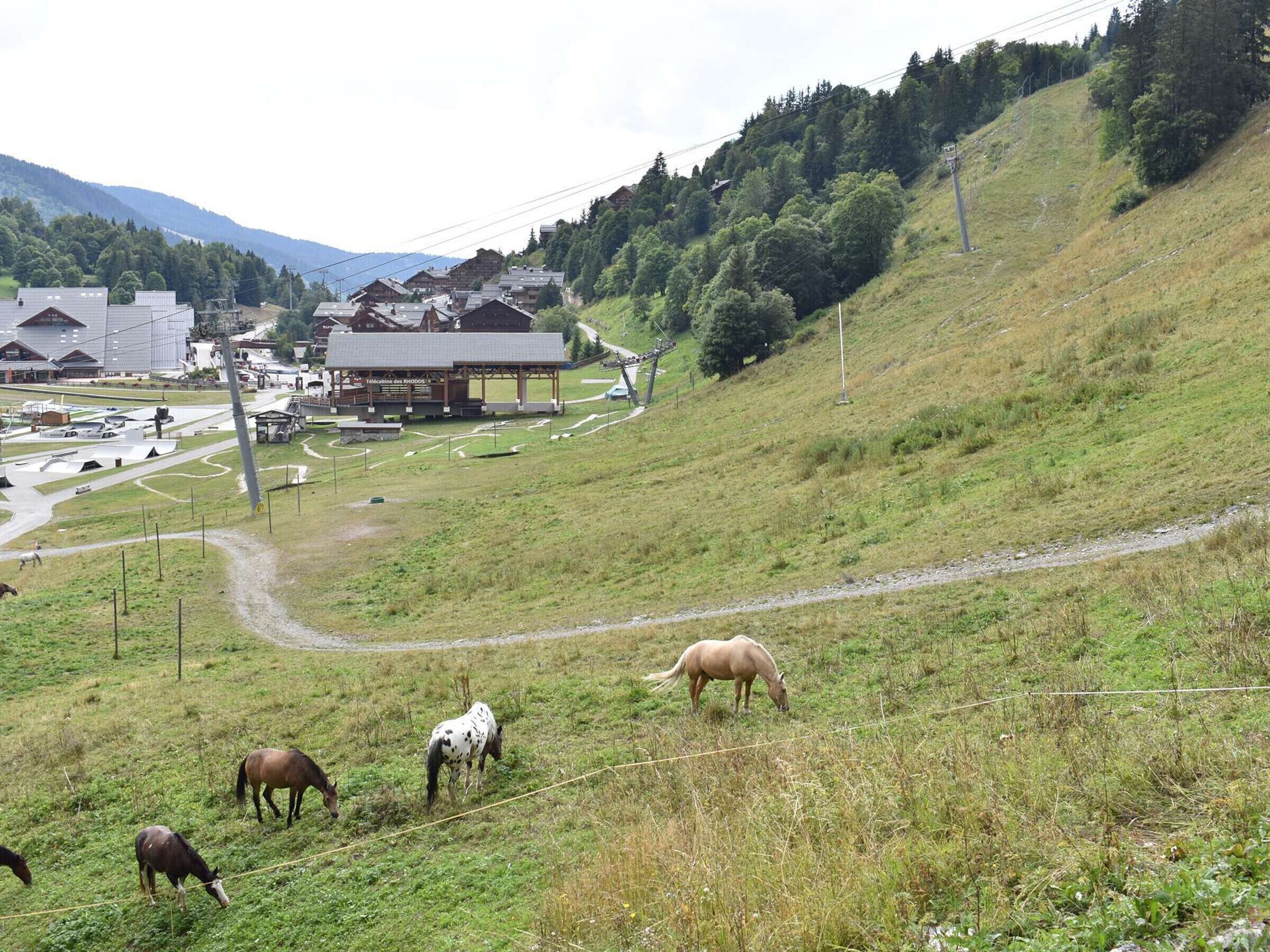 Un paysage rural avec un bâtiment portant l’inscription « Teichhaus des Rhodos » et plusieurs chevaux qui paissent.