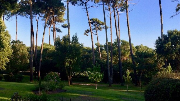 Ein gepflegter Golfplatz mit hohen Bäumen, geschnittenem Rasen und verschiedenen Sträuchern.