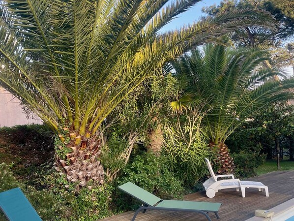 Eine Holzterrasse mit zwei weißen Liegestühlen, umgeben von üppiger Vegetation und Palmen.