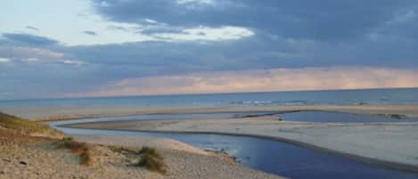 Playa