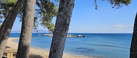 Ranta
