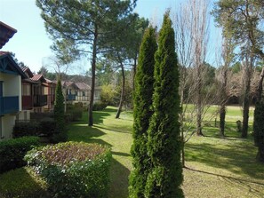 Un barrio residencial con casas, un césped cuidado y altos árboles de hoja perenne.