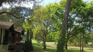 Une maison traditionnelle avec un toit en tuiles, entourée d’une végétation luxuriante et d’arbres.