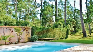 Une piscine rectangulaire dotée d’une terrasse en bois, entourée d’une végétation luxuriante et de grands arbres.