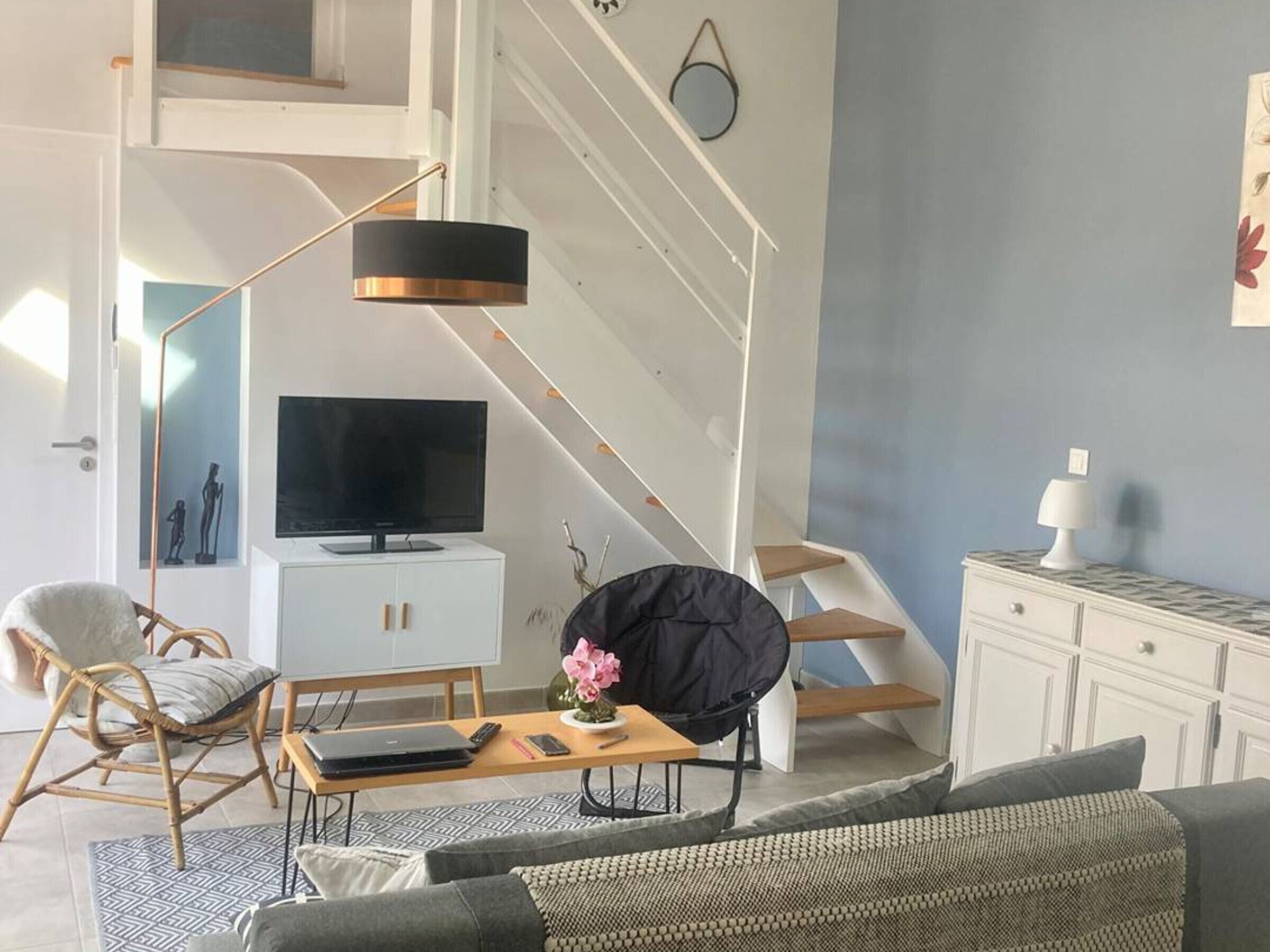 TV