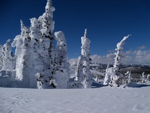 Schneebedeckte Bäume in einer verschneiten Landschaft unter blauem Himmel.
