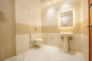 A bathroom with a toilet, sink, and mirror. - HOTEL THE MIRAGE (Ludhiana)