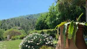 A garden with potted plants and a statue. - Charming Private Cottage with Garden & Parking in Bar-sur-Loup (Le Bar-sur-Loup)