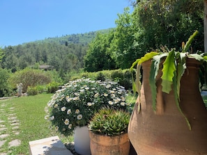Un jardin agrémenté de plantes en pot et d’une statue.