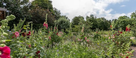 Un jardín con diversas plantas y flores.