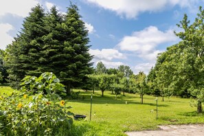 Ein Park mit einem großen Nadelbaum, einer grünen Wiese und blauem Himmel.