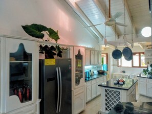 Una cocina con armarios blancos, un refrigerador de acero inoxidable, una planta colgante y un ventilador de techo.