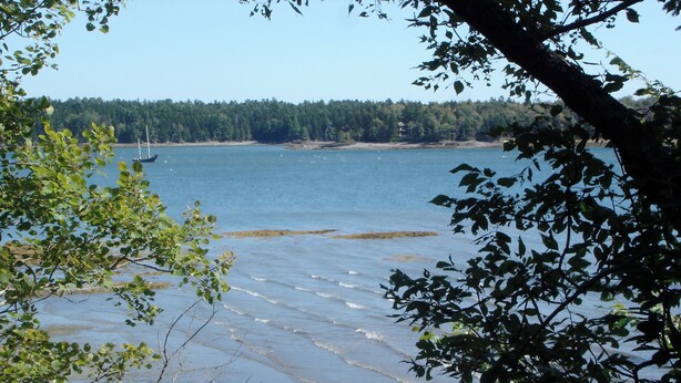 A beach with calm water, trees, and a distant shoreline. - Hearthstone Cottage , Private cottage on Waters Edge! (Blue Hill)