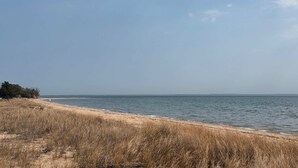 Een strand met droog gras op de voorgrond en een heldere lucht.