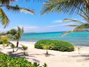 A tropical beach scene with palm trees, clear blue water, and a sandy shore. - Beachfront Condo with Pool Access (Akumal Sur)