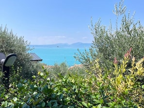 Blick auf eine Küstenlandschaft mit blauem Himmel, einem Gewässer und Vegetation im Vordergrund.