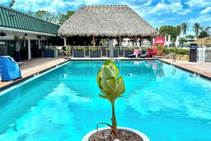 Interior - Heated Pool Access! Waterfront Retreat in Sarasota (Sarasota)