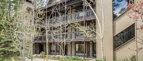Huoneisto (1 Bedroom) | Sisätilat