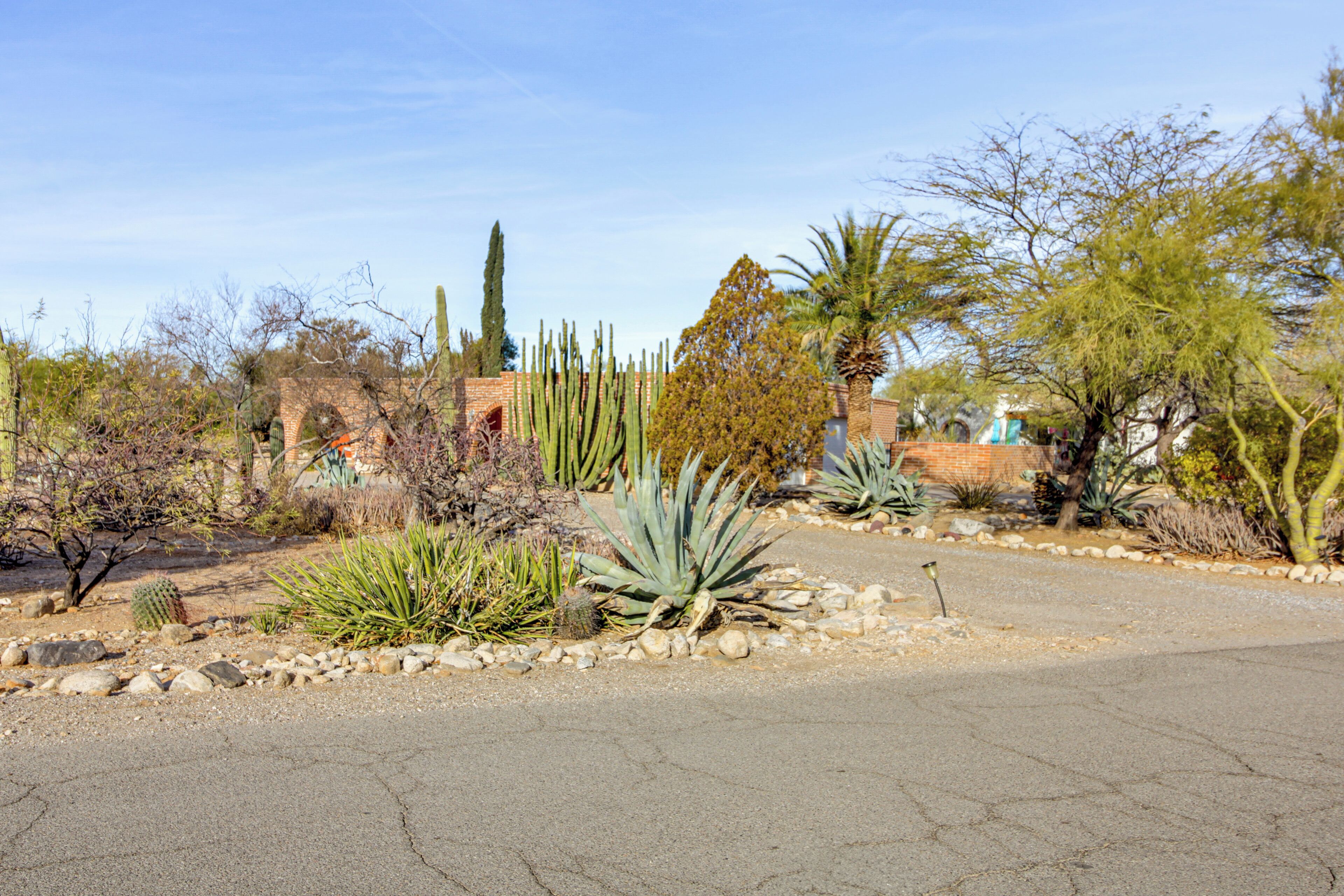 A desert garden with cacti and a brick building in the background.