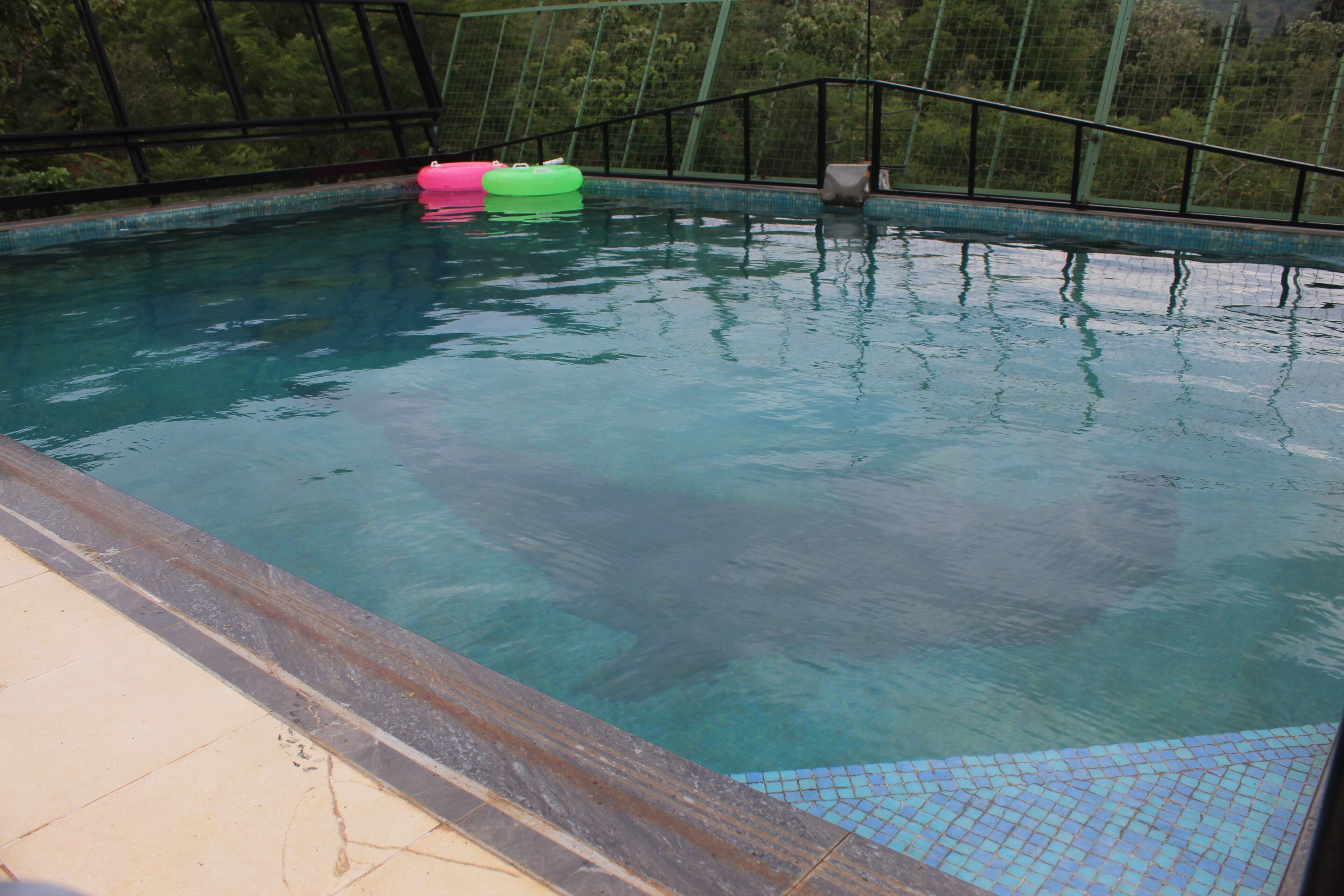 Standard-Villa, Gartenblick | Pool