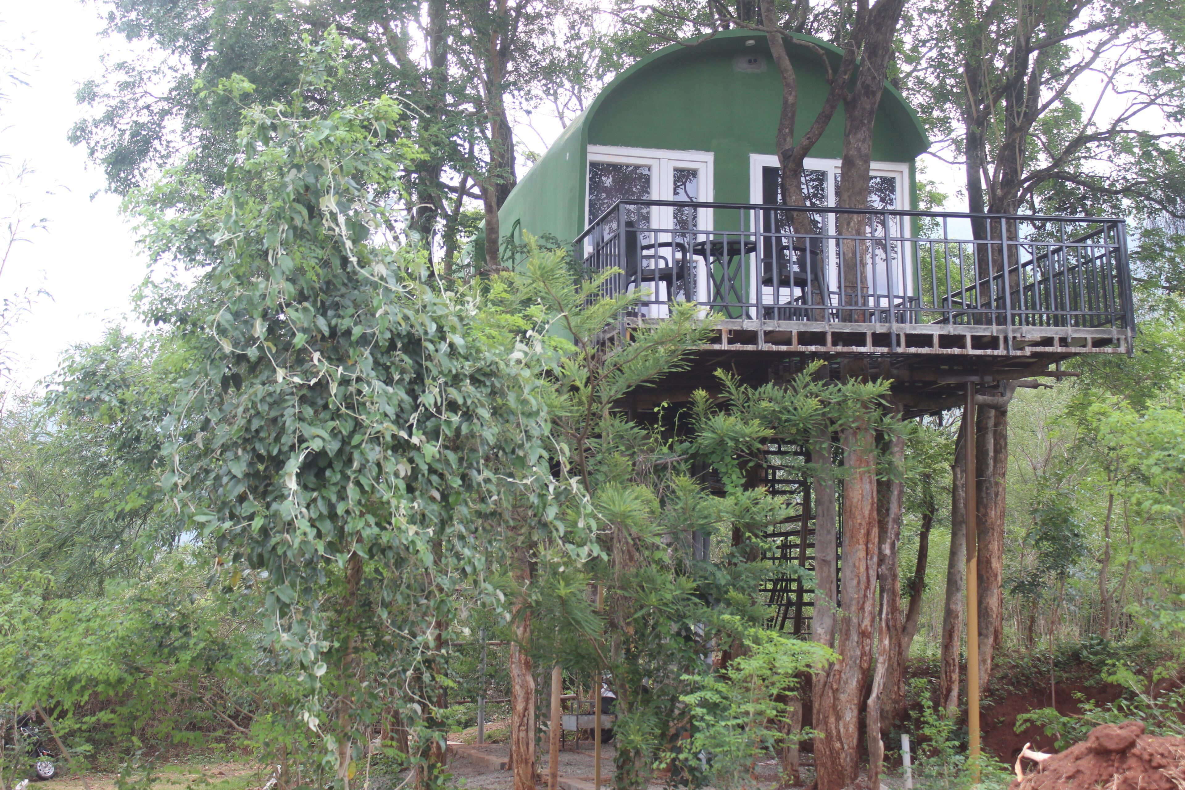 Casa Deluxe en un árbol, vistas a la montaña | Exterior