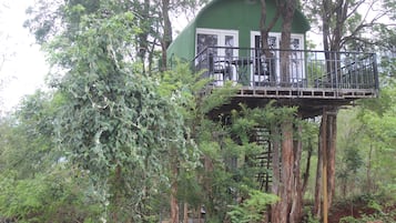 Casa Deluxe en un árbol, vistas a la montaña | Exterior