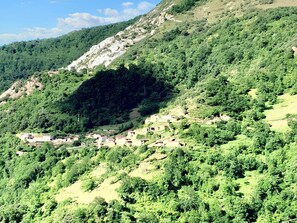 A hillside village with traditional houses, terraced fields, and dense forest. - Studio 'La Panera D'Abaxo' with Mountain Views (Las Viñas)