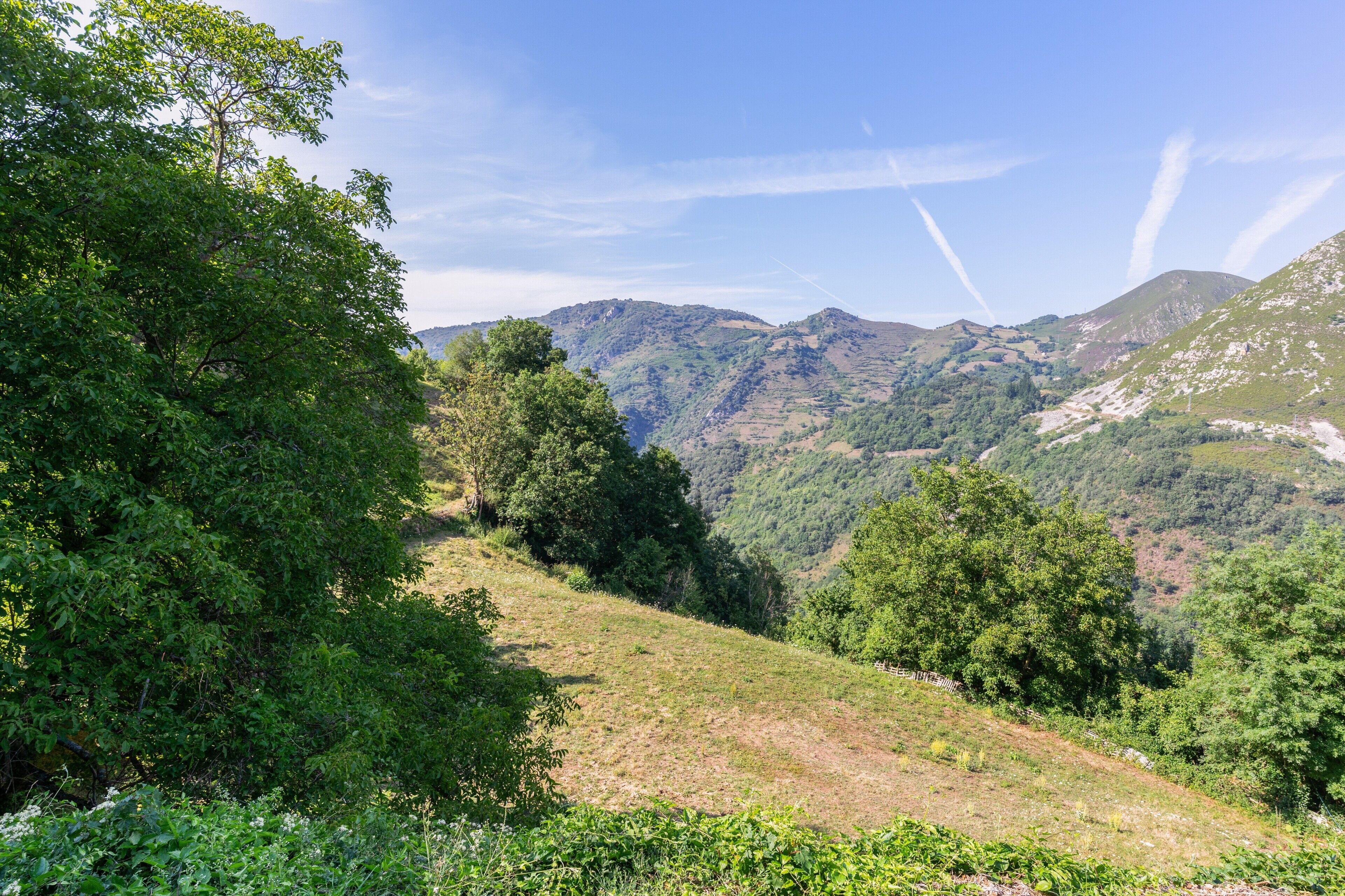 A mountainous landscape with dense green foliage and a clear sky.