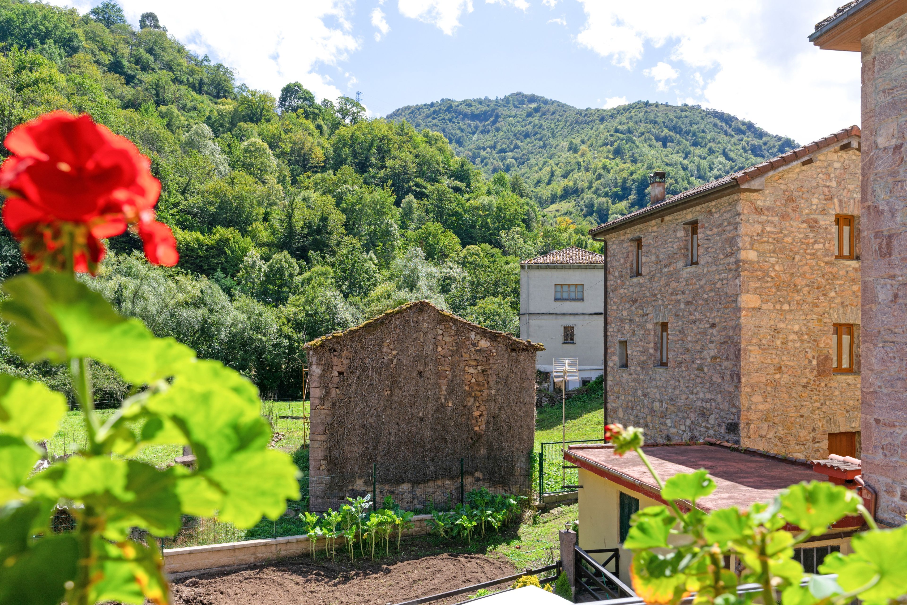 Paesaggio rurale con edifici in pietra, un giardino e montagne sullo sfondo.