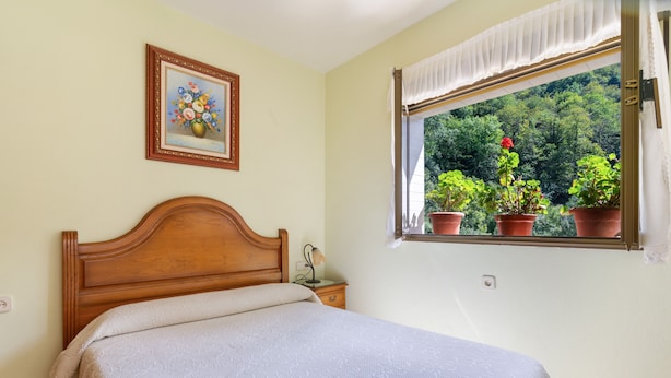 Une chambre à coucher avec un lit, une table de chevet, une lampe, un tableau encadré au mur et une fenêtre avec des plantes en pot.