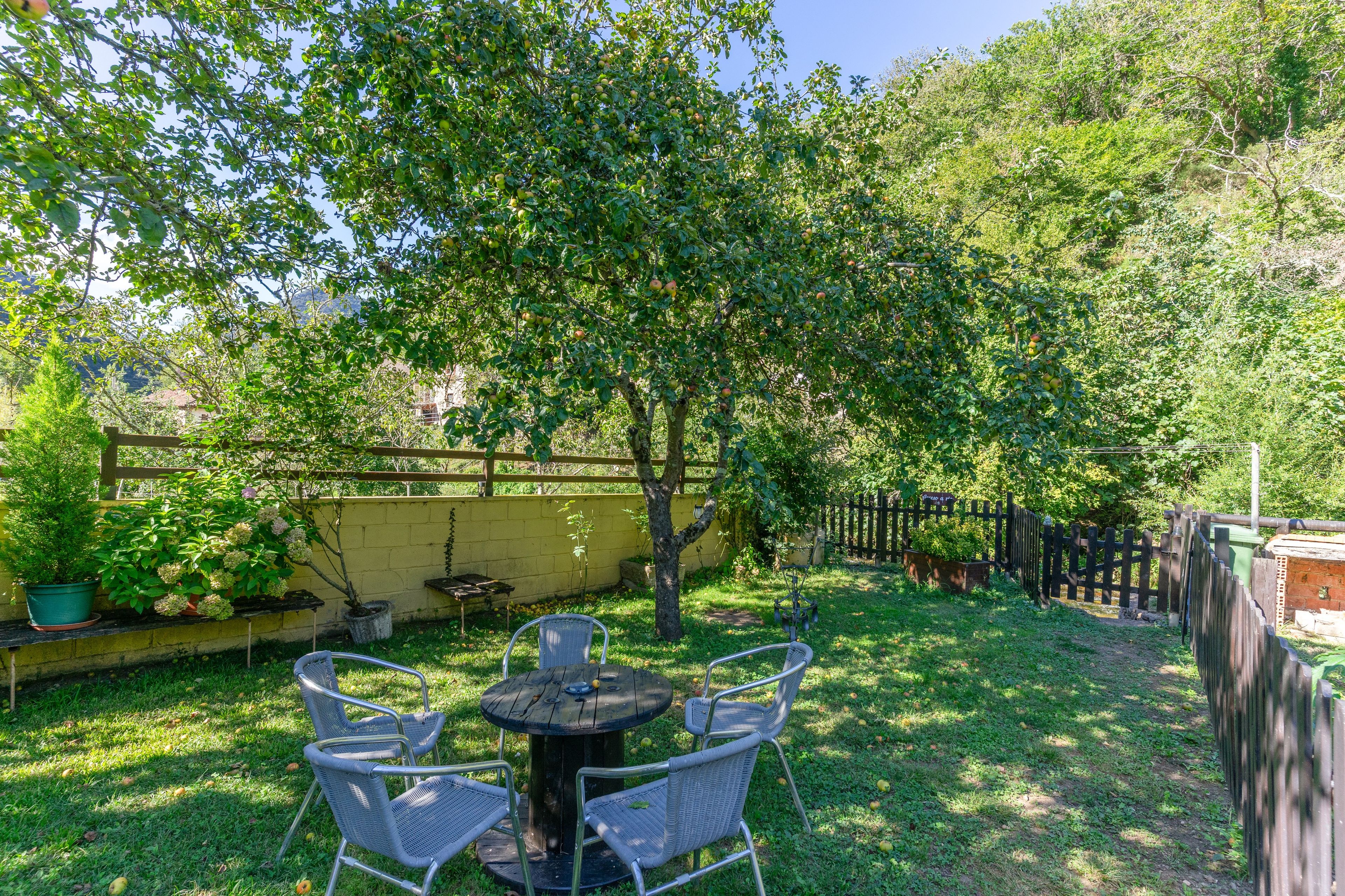 A backyard with a table and chairs, surrounded by trees and a yellow wall.