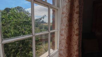 Una ventana con vista a árboles y cielo despejado.