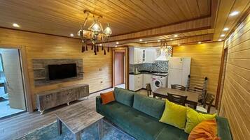 A cozy living area with a green sofa, wooden ceiling, built-in TV, and a kitchen in the background.
