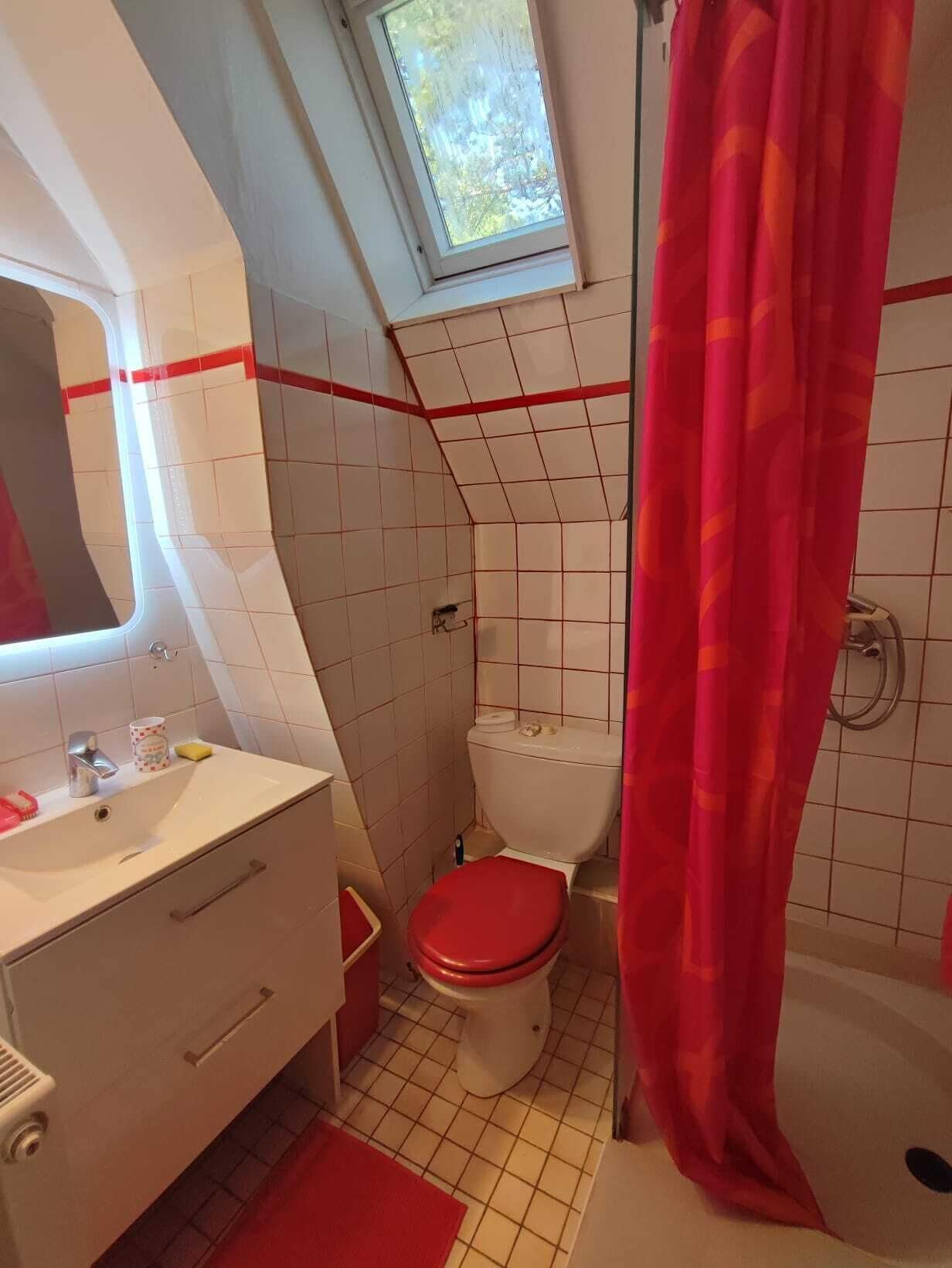 Shower, hair dryer