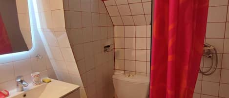 Shower, hair dryer
