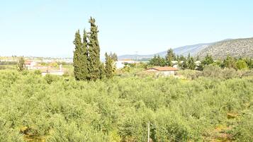 A rural landscape with a prominent tall tree, scattered houses, and a hilly background.