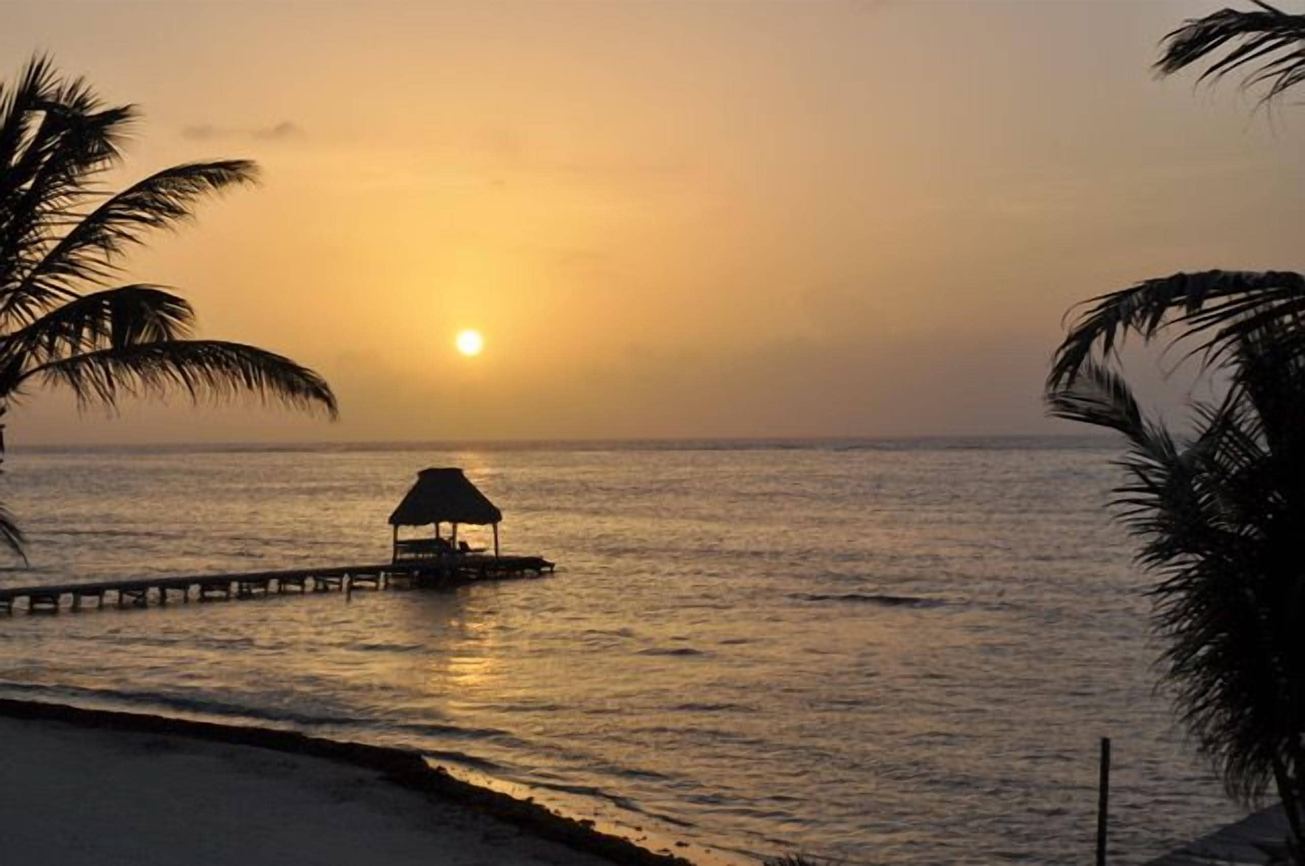 A beach scene with a thatched hut on a pier, palm trees, and the ocean.